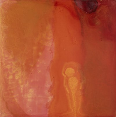 Pez de queso, 1997 de Charlotte Johnstone