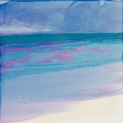 Playa de tortugas, 2000 de Charlotte Johnstone