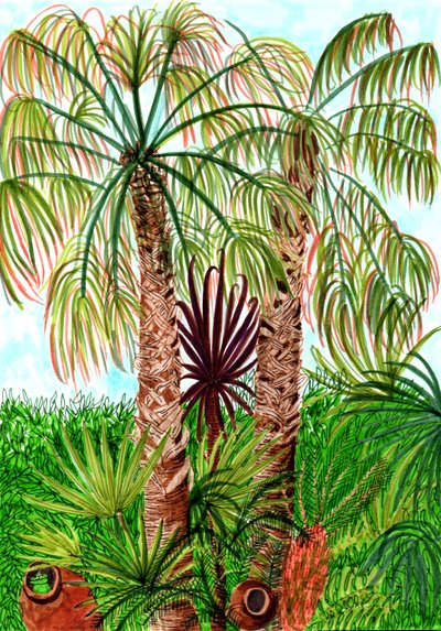 Palmeras de Barcelona, 2017 de Charlotte Orr