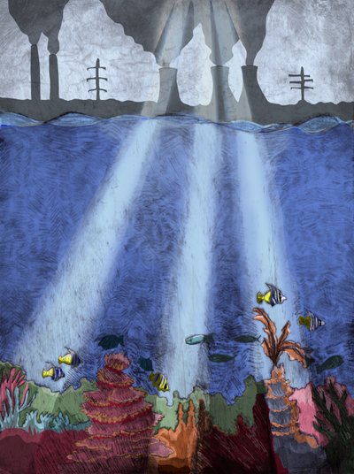 Arrecife de Coral de Charlotte Orr