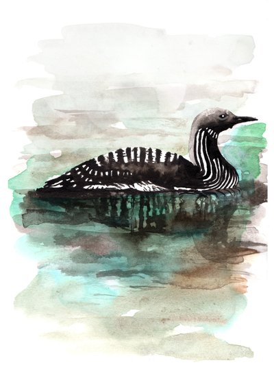 Pato, 2020 de Charlotte Orr