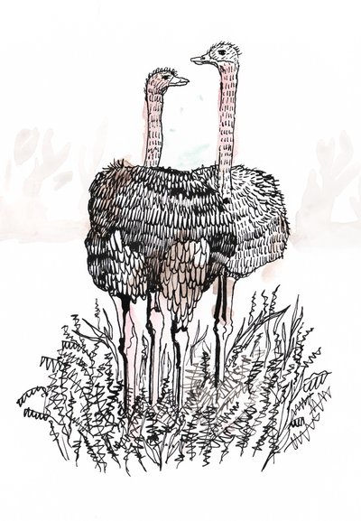 Flamencos, 2018 de Charlotte Orr