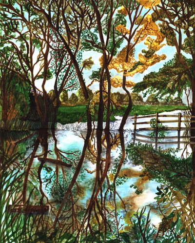 Inundación en los Campos de Santa María, 2020 de Charlotte Orr