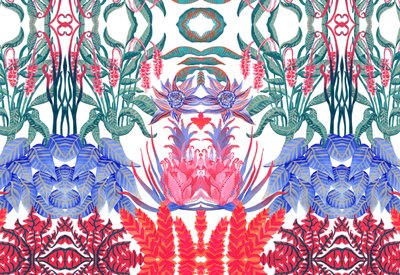 Jungle Jim de Charlotte Orr