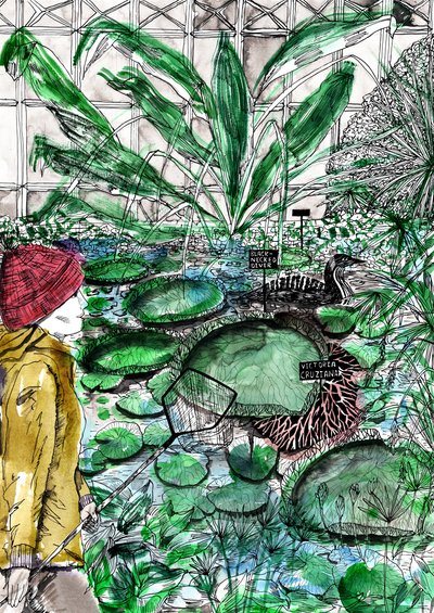 Jardín Botánico de Oxford de Charlotte Orr