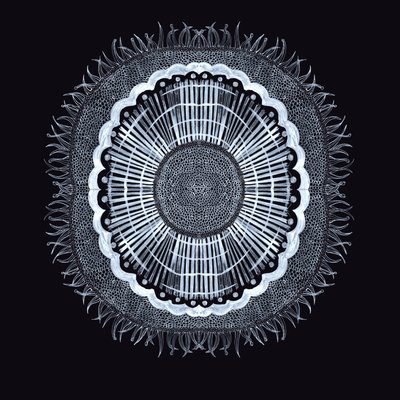Célula Vegetal 0.2, 2019 de Charlotte Orr