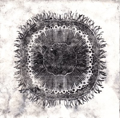 Células Vegetales, 2019 de Charlotte Orr