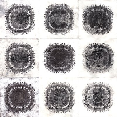 Células Vegetales de Charlotte Orr