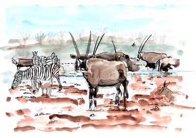 Safari, 2018 de Charlotte Orr