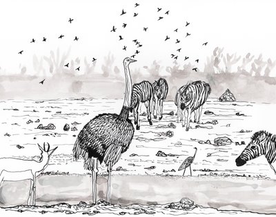 Safari 2 de Charlotte Orr