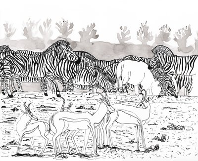 Safari 3 de Charlotte Orr