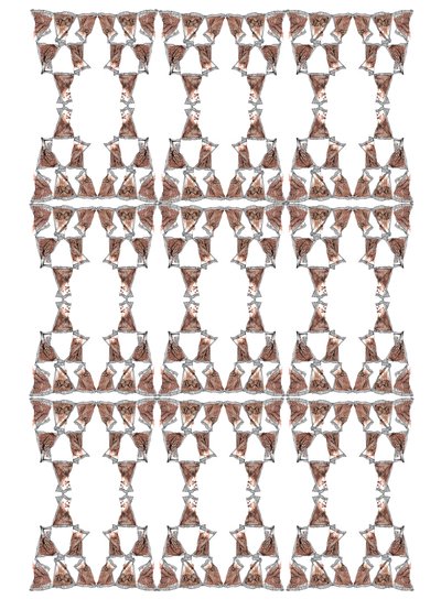 Diseño de empaque de té, 2018 de Charlotte Orr