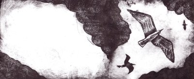 El cuento de la gaviota, 2012 de Charlotte Orr