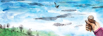 El cuento de la gaviota de Charlotte Orr