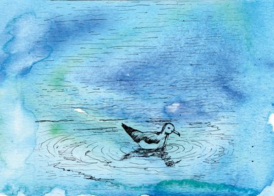 El cuento de la gaviota, 2020 de Charlotte Orr
