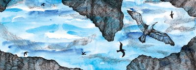 El cuento de la gaviota, 2020 de Charlotte Orr