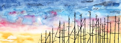 El cuento de la gaviota de Charlotte Orr