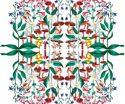 Plantas Silvestres, 2015 de Charlotte Orr