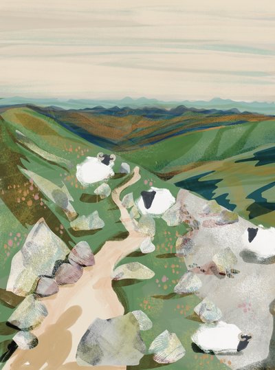 Ovejas en una tranquila ladera de Charlotte Trudgett
