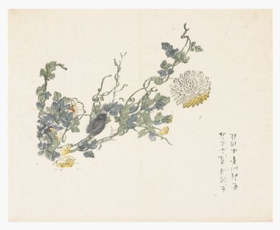 Jardín de semillas de mostaza de Chen Chung Jan (after)