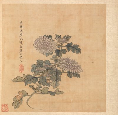 Paintings after Ancient Masters: Chrysanthemum de Chen Hongshou