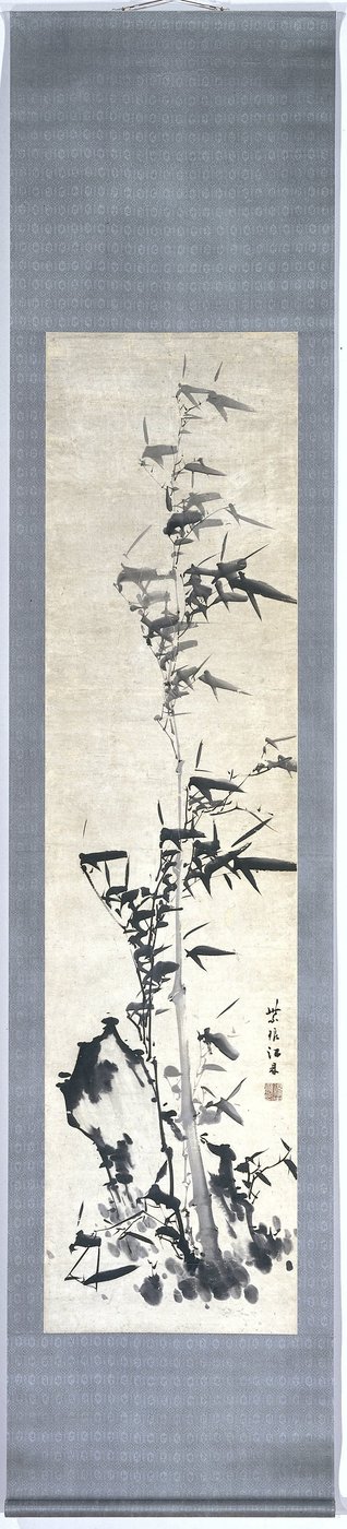 Bambú de Chiang Ting