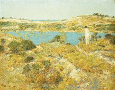 Piscina de dunas de Childe Frederick Hassam