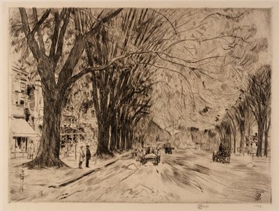 Olmos de Easthampton en mayo de Childe Hassam
