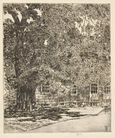 Olmo gigante, 1929 de Childe Hassam