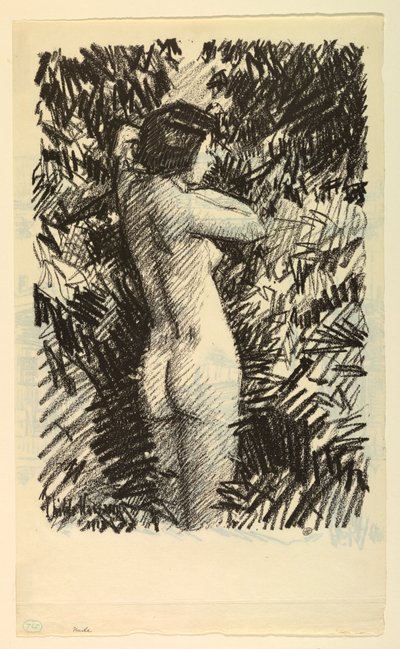 Desnudo de Childe Hassam