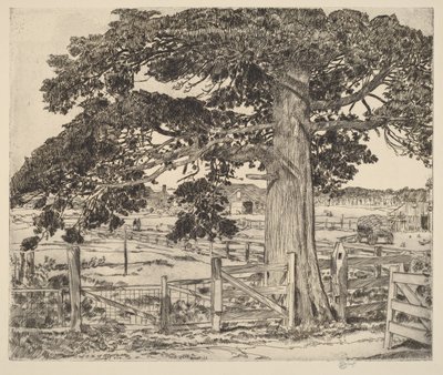  de Childe Hassam