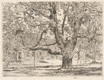El gran árbol de castaño de Indias, Easthampton de Childe Hassam