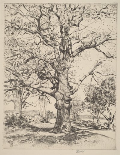  de Childe Hassam