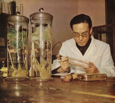 Químico agrícola chino del Instituto de Investigación de Changchun, República Popular China, años 50 de Chinese Photographer