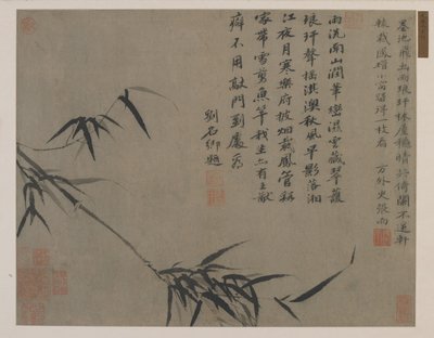 Un ramo de bambú, posiblemente dinastía Qing de Chinese School