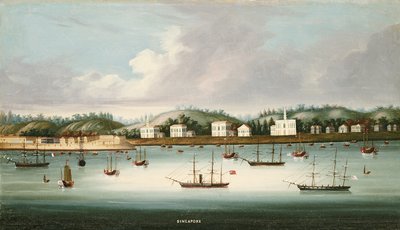 Vista de Singapur desde las carreteras con barcos estadounidenses, franceses y británicos, c.1850 de Chinese School