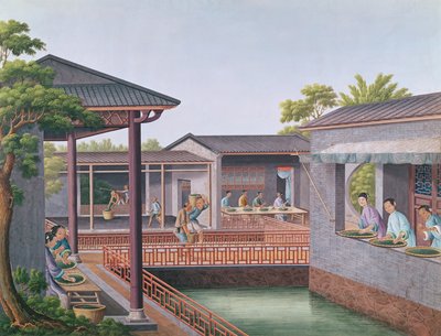 Clasificación del Té de Chinese School