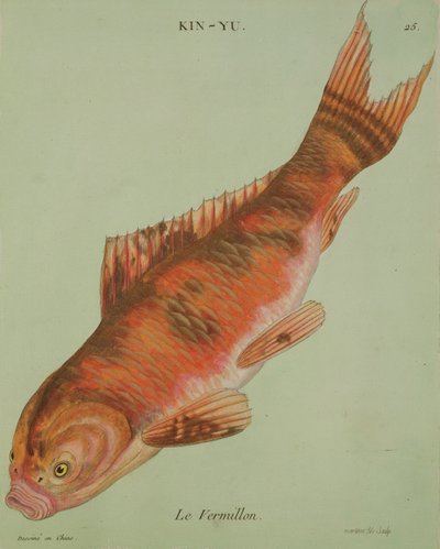 Le Vermillon, grabado por François Nicholas Martinet (1731-p.1796) de Chinese School
