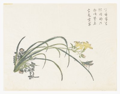 Jardín de semillas de mostaza de Chinese School