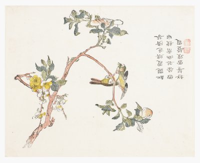 Jardín de semillas de mostaza de Chinese School