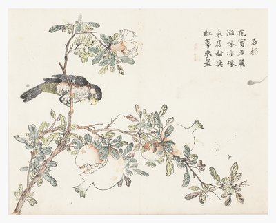 Jardín de Semillas de Mostaza de Chinese School