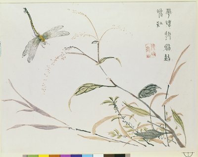 Jardín de Semillas de Mostaza de Chinese School