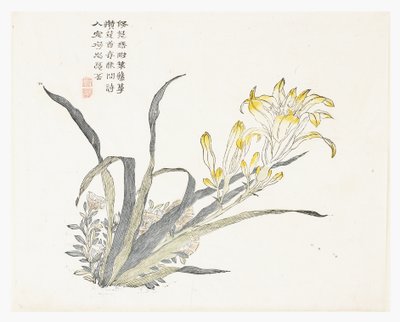 Jardín de Semillas de Mostaza de Chinese School
