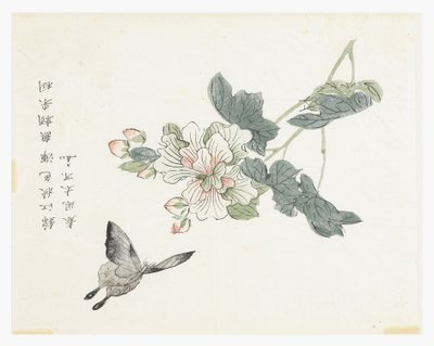 Jardín de Semillas de Mostaza de Chinese School