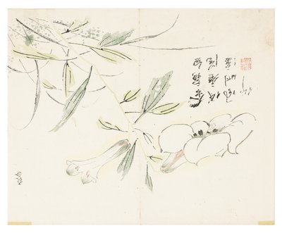 Jardín de Semillas de Mostaza de Chinese School