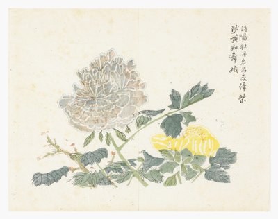 Jardín de Semillas de Mostaza de Chinese School