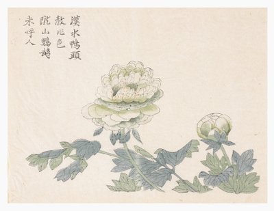 Jardín de Semillas de Mostaza de Chinese School