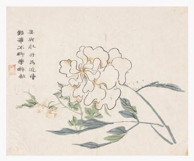 Jardín de Semillas de Mostaza de Chinese School
