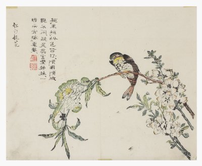 Jardín de Semillas de Mostaza de Chinese School