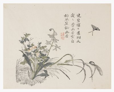 Jardín de Semillas de Mostaza de Chinese School